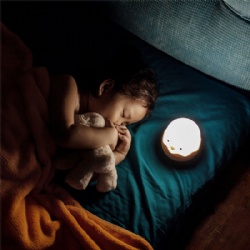 Homestar Wholesale creative design touch sensor baby sleep eggshell sensor led night light