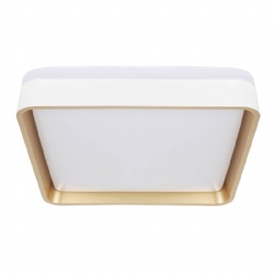 HOMESTAR 5CCT LED CEILING LIGHT--DUCK